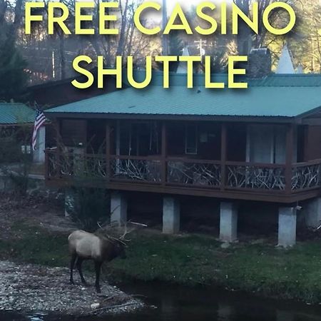 Qualla Cabins And Motel Cherokee Near Casino Whittier Exterior foto